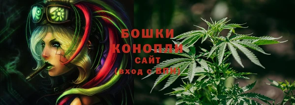 дмт Аркадак