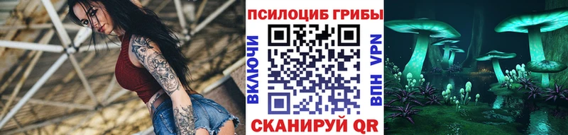 Купить где  Аша  Псилоцибиновые грибы MAGIC MUSHROOMS 
